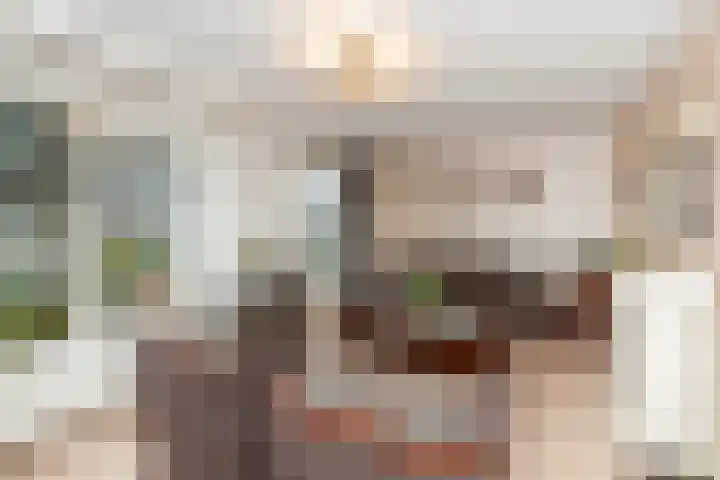 Van Asperenstraat 27 Hardinxveld-Giessendam thumbnail 8