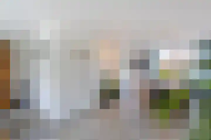 Van Asperenstraat 9 Hardinxveld-Giessendam thumbnail 10