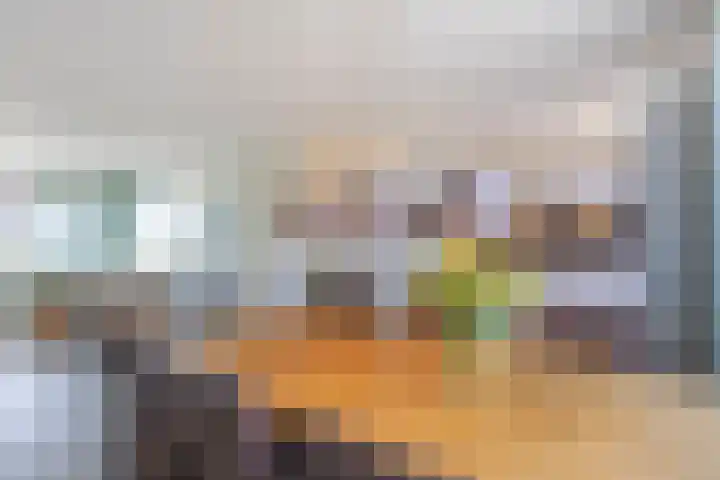 Van Asperenstraat 9 Hardinxveld-Giessendam thumbnail 11