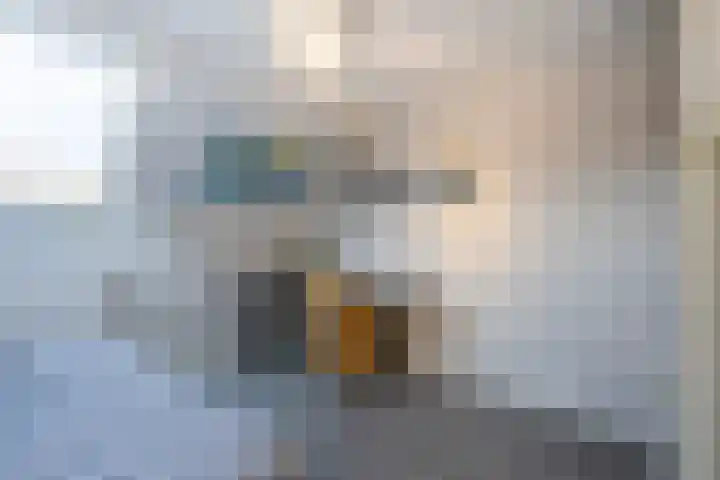 Van Asperenstraat 9 Hardinxveld-Giessendam thumbnail 19