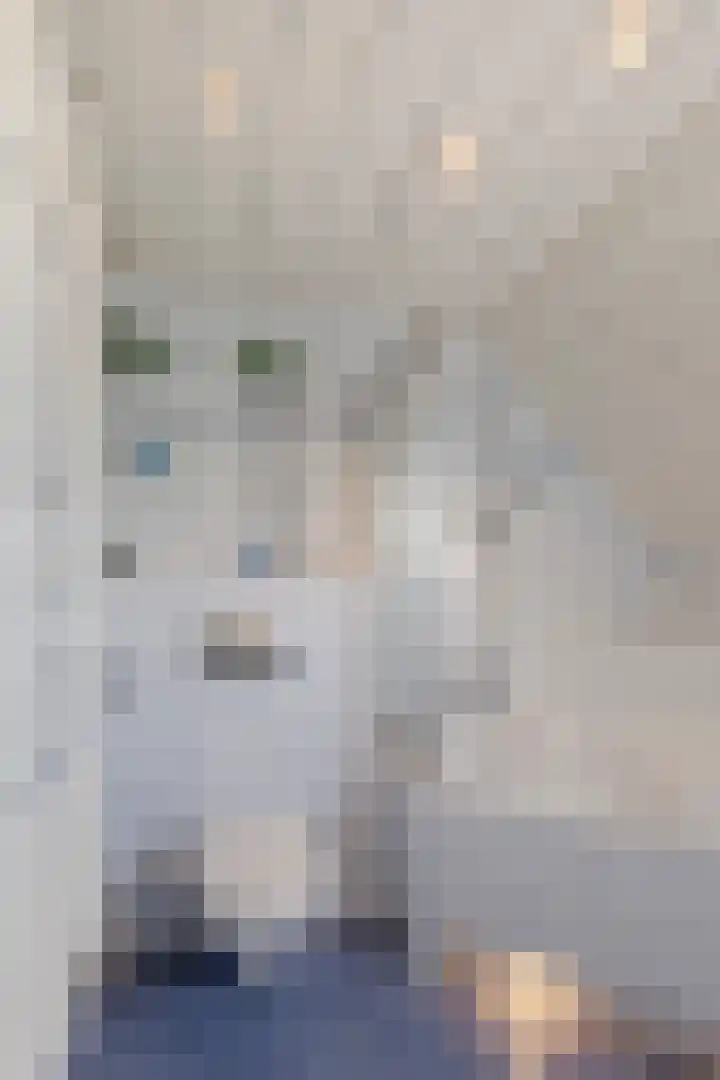 Van Asperenstraat 9 Hardinxveld-Giessendam thumbnail 21