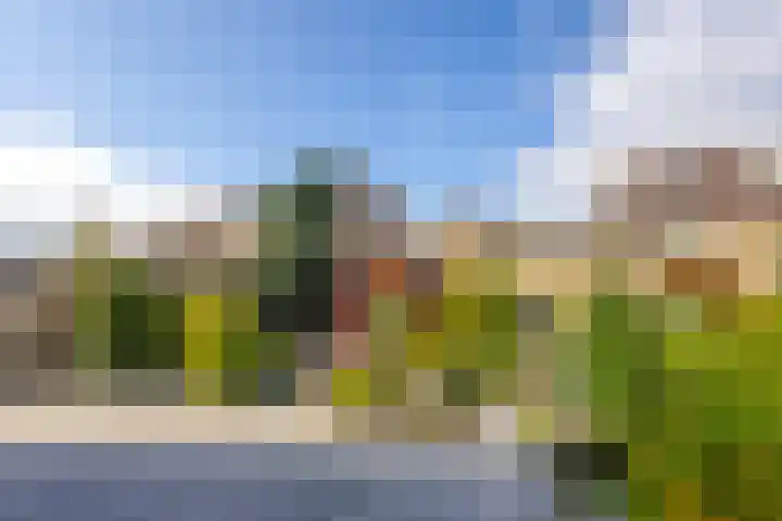 Van Asperenstraat 9 Hardinxveld-Giessendam thumbnail 28