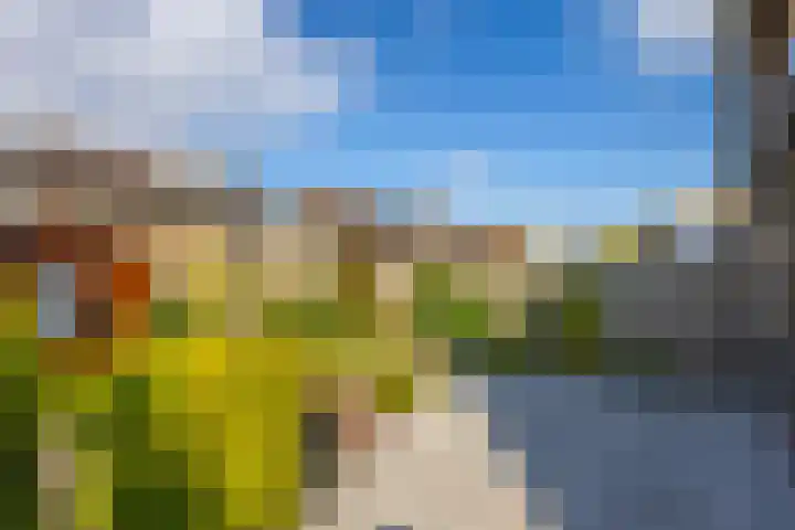 Van Asperenstraat 9 Hardinxveld-Giessendam thumbnail 30