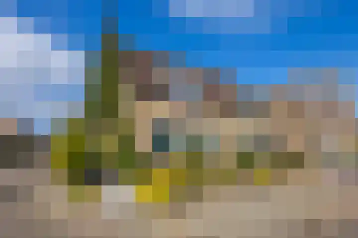 Van Asperenstraat 9 Hardinxveld-Giessendam thumbnail 38