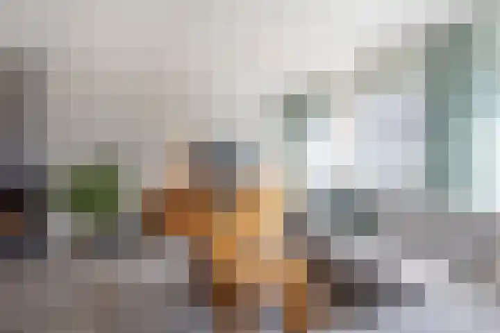 Van Asperenstraat 9 Hardinxveld-Giessendam thumbnail 5