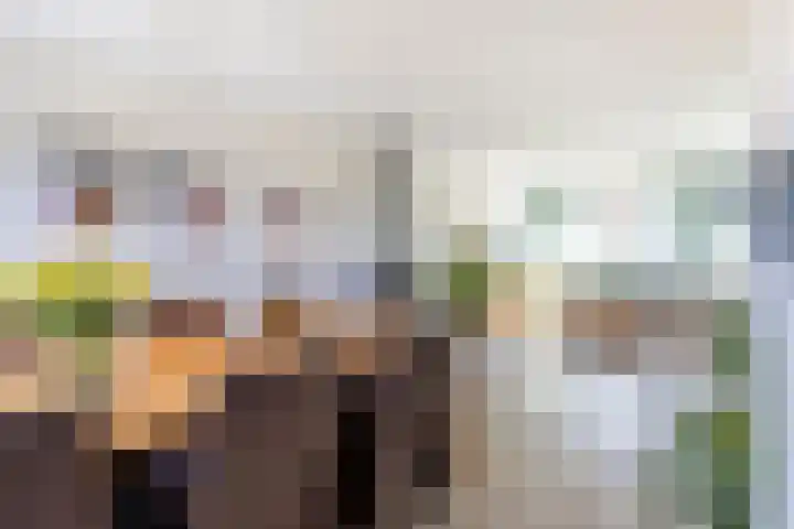 Van Asperenstraat 9 Hardinxveld-Giessendam thumbnail 9