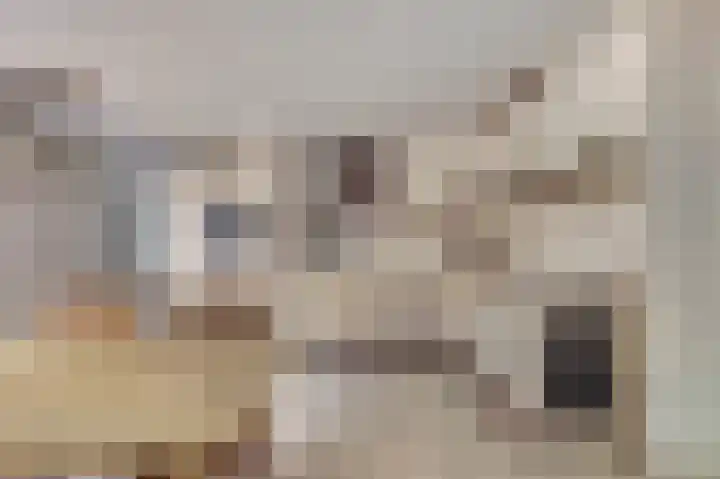 van Aspermonthof 2 Nieuweroord thumbnail 11