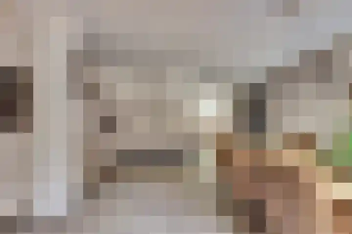 van Aspermonthof 2 Nieuweroord thumbnail 13