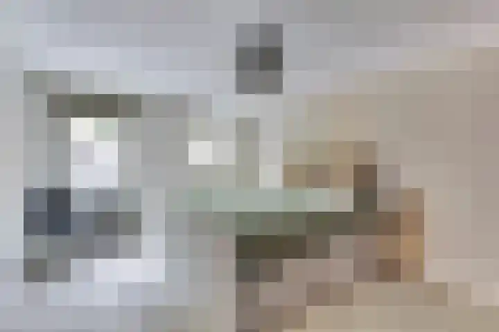 van Aspermonthof 2 Nieuweroord thumbnail 16