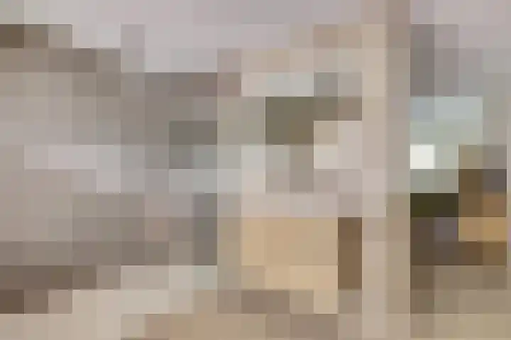 van Aspermonthof 2 Nieuweroord thumbnail 18