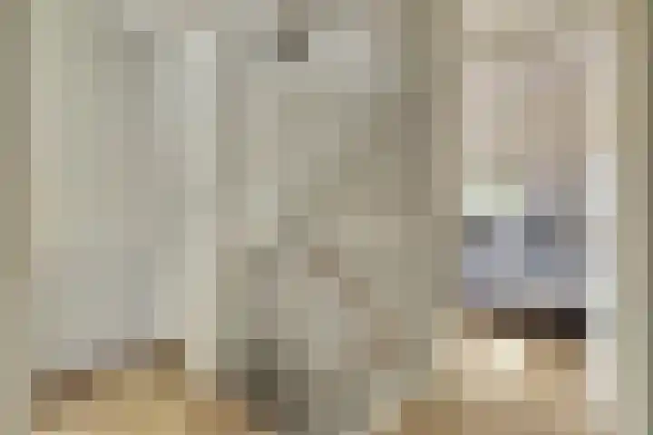van Aspermonthof 2 Nieuweroord thumbnail 20