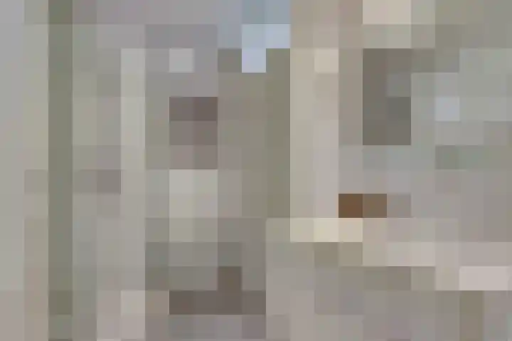van Aspermonthof 2 Nieuweroord thumbnail 26