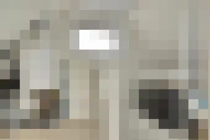 van Aspermonthof 2 Nieuweroord thumbnail 27