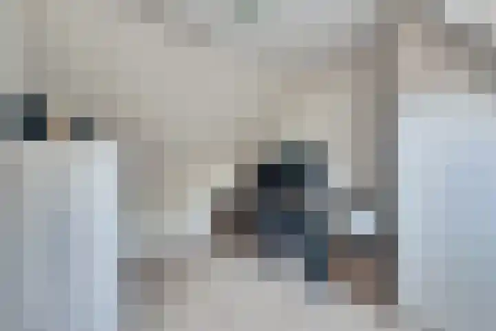 van Aspermonthof 2 Nieuweroord thumbnail 28