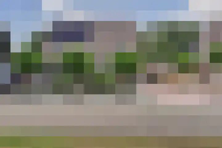 van Aspermonthof 2 Nieuweroord foto 3