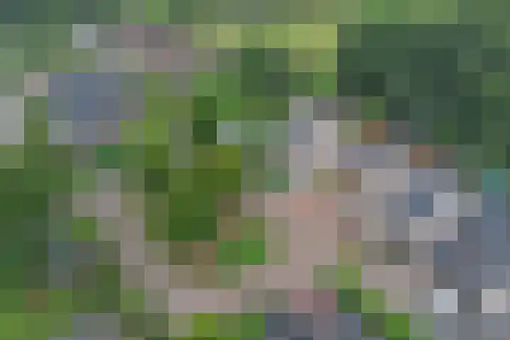 van Aspermonthof 2 Nieuweroord thumbnail 38