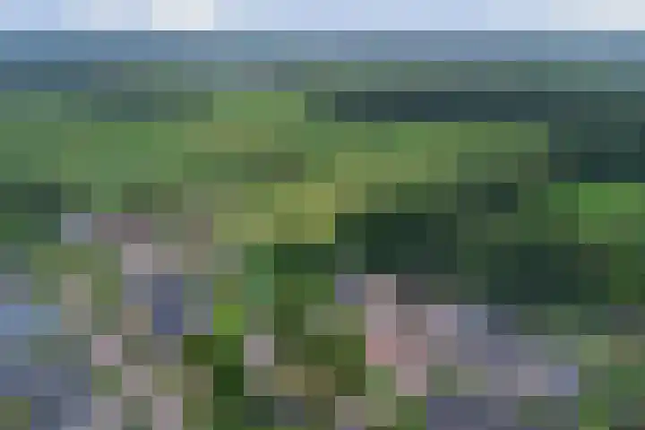 van Aspermonthof 2 Nieuweroord thumbnail 40