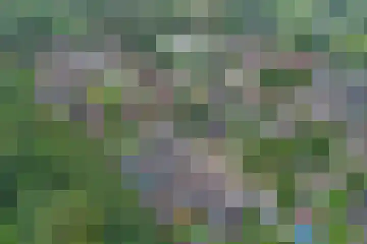 van Aspermonthof 2 Nieuweroord thumbnail 41