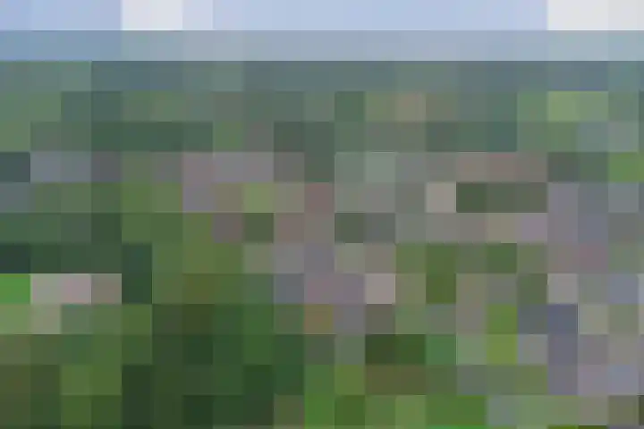 van Aspermonthof 2 Nieuweroord thumbnail 42