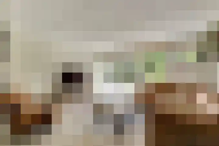van Aspermonthof 2 Nieuweroord thumbnail 7