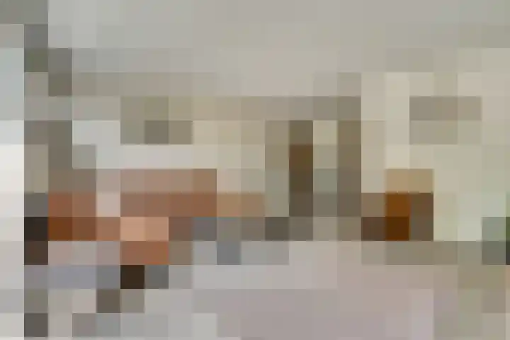van Aspermonthof 2 Nieuweroord thumbnail 8