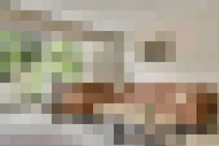 van Aspermonthof 2 Nieuweroord thumbnail 9