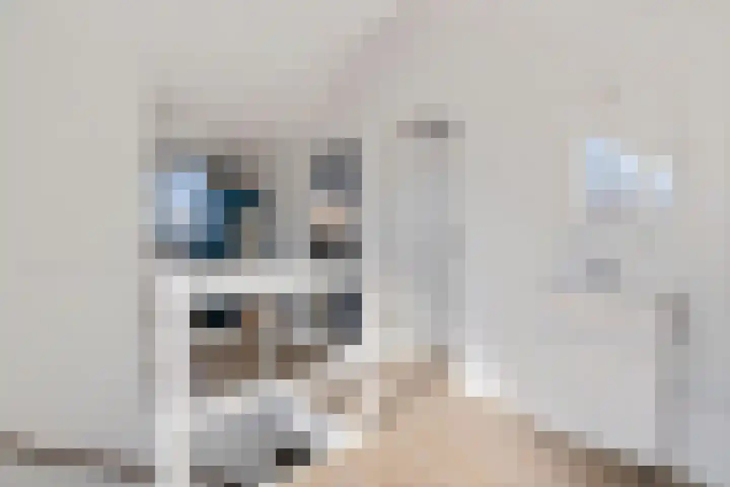 Van Assendelftlaan 15 Castricum thumbnail 23