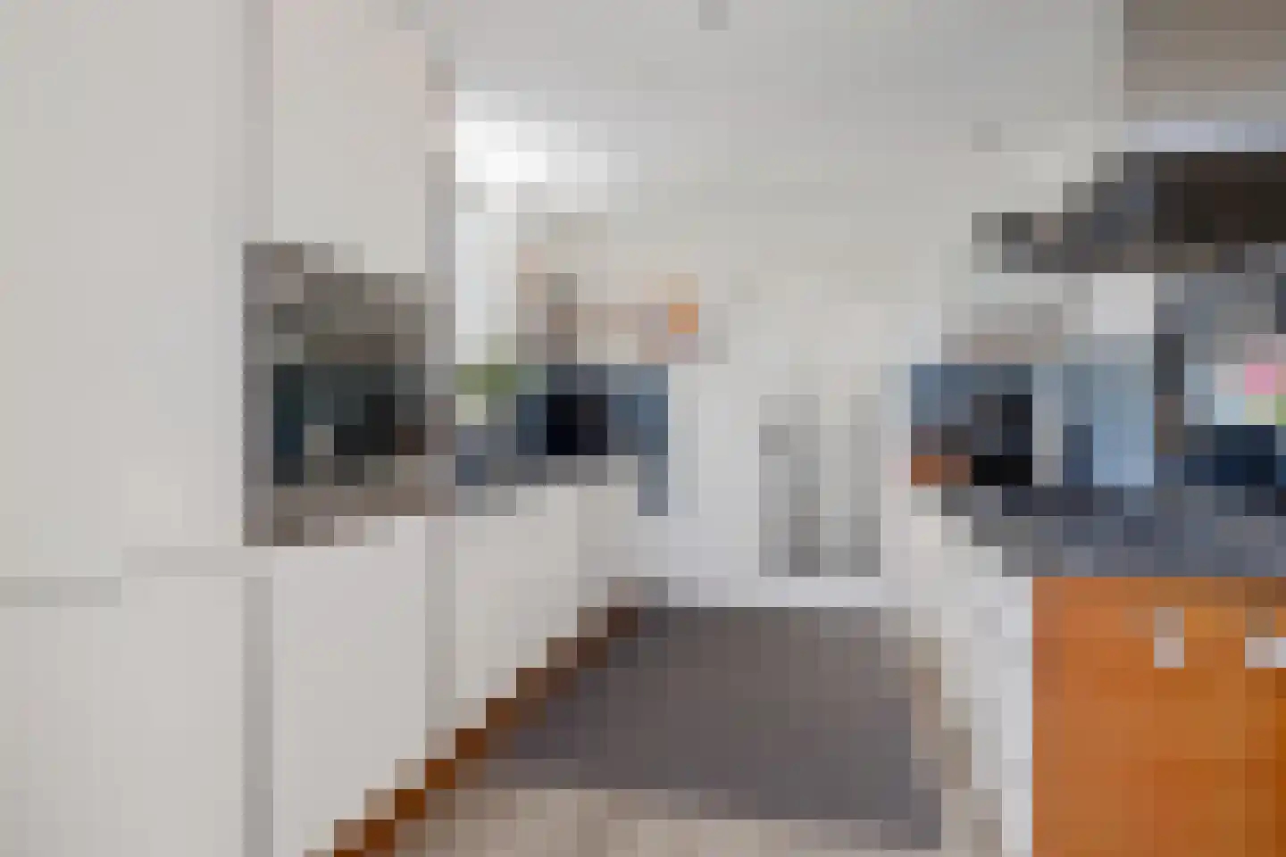 Van Assendelftlaan 15 Castricum thumbnail 5