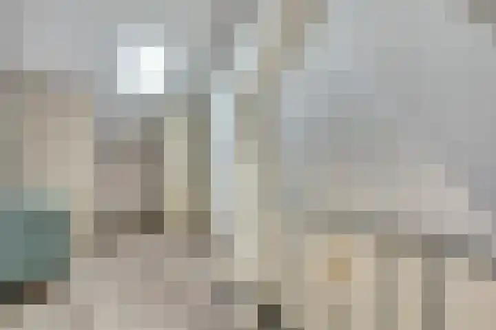 van Assendelftstraat 102 Waalwijk thumbnail 28