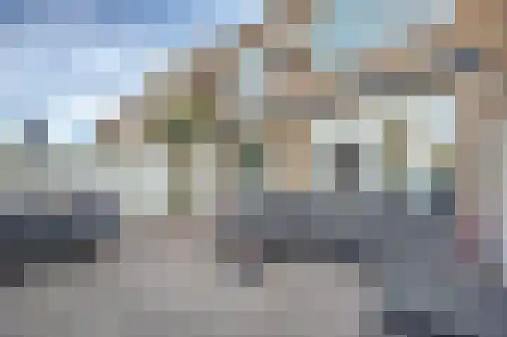 van Assendelftstraat 102 Waalwijk thumbnail 33