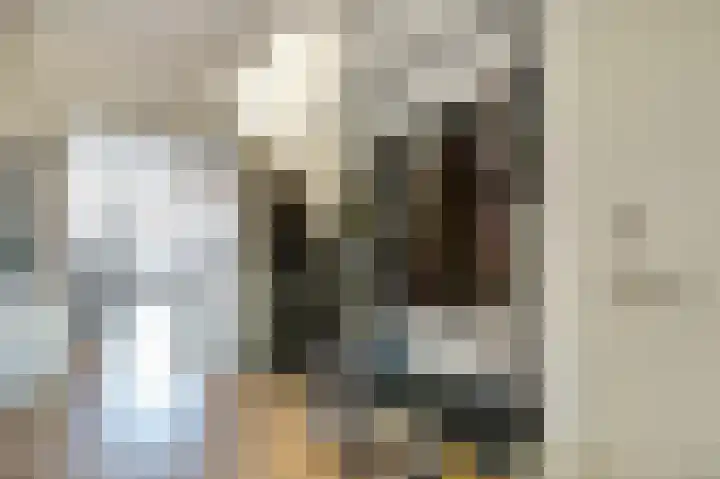 van Assendelftstraat 102 Waalwijk thumbnail 7