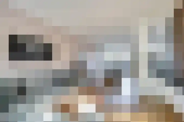 van Assendelftstraat 102 Waalwijk thumbnail 8