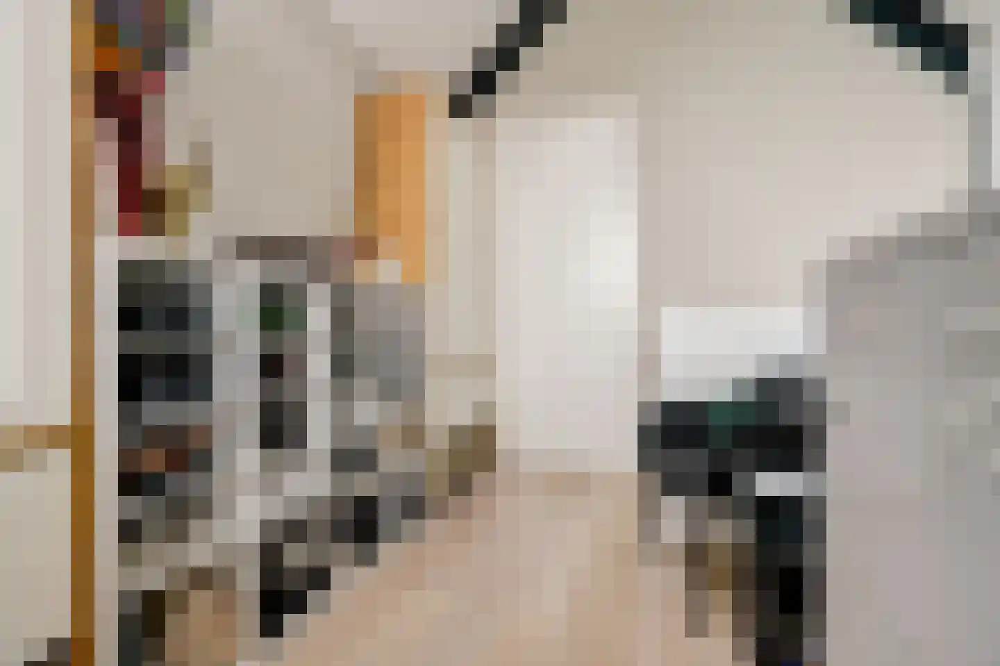 van Assendelftstraat 114 Waalwijk thumbnail 14