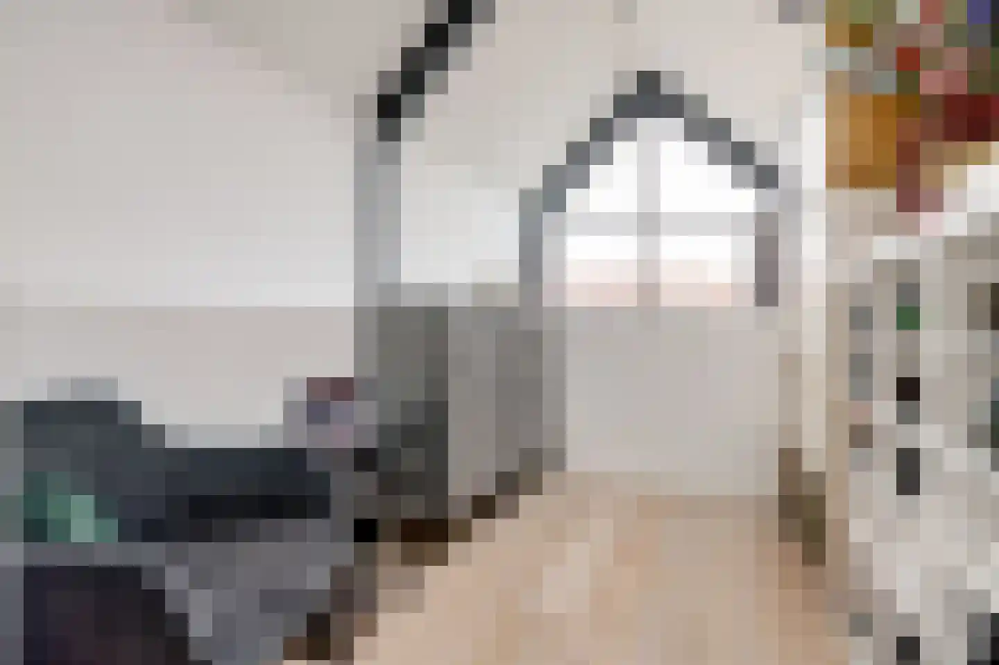 van Assendelftstraat 114 Waalwijk thumbnail 15