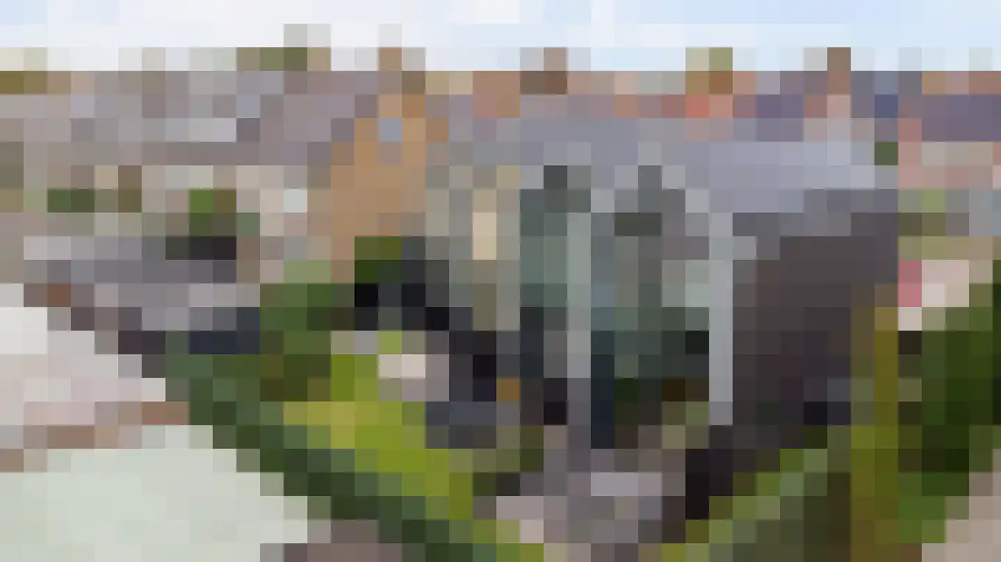 van Assendelftstraat 114 Waalwijk thumbnail 21