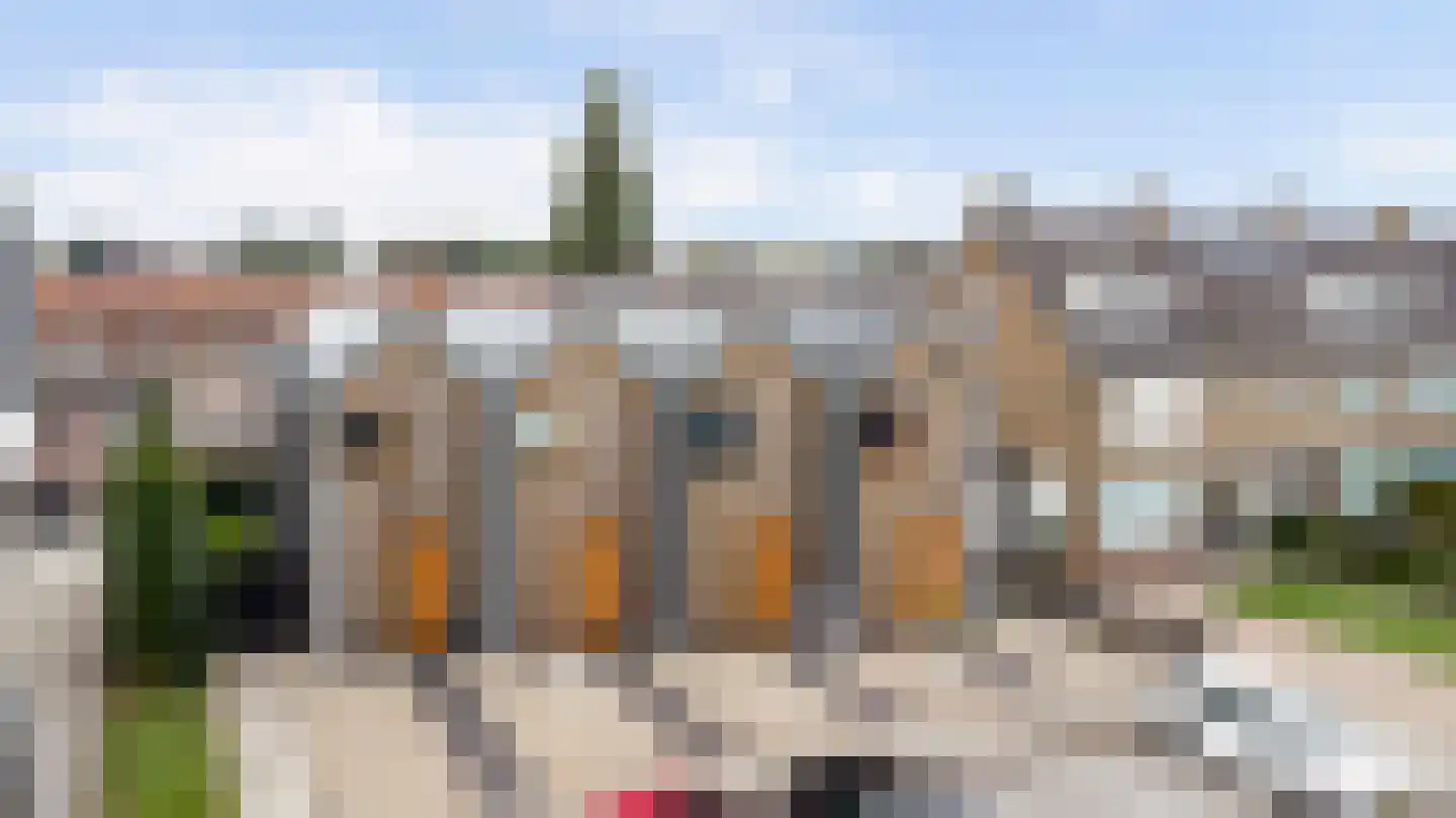 van Assendelftstraat 114 Waalwijk thumbnail 25