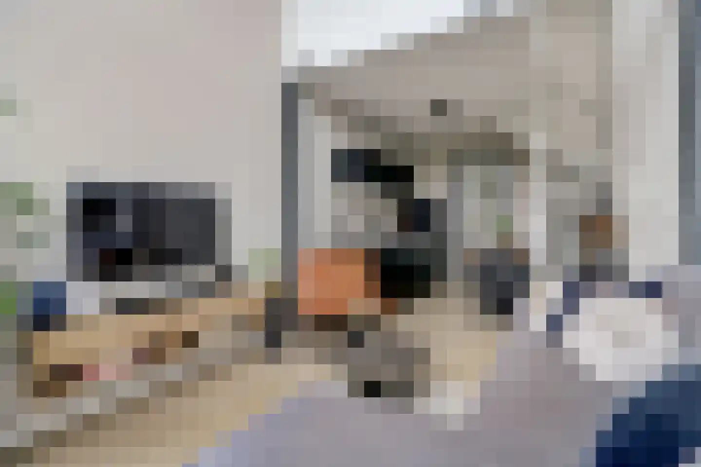 van Assendelftstraat 114 Waalwijk thumbnail 4