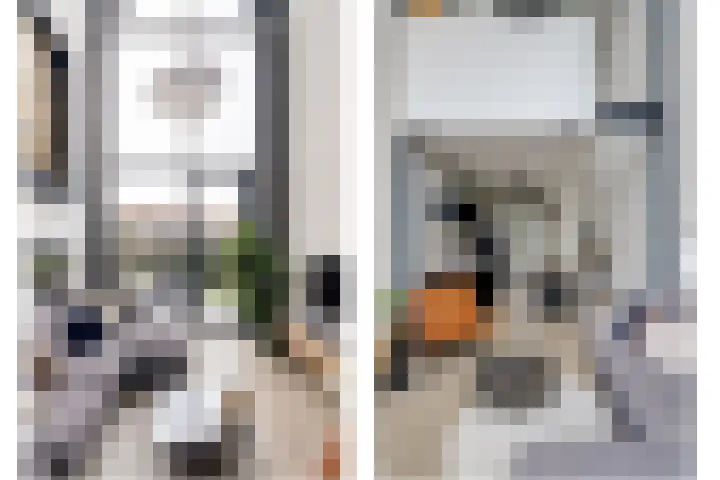 van Assendelftstraat 114 Waalwijk thumbnail 7