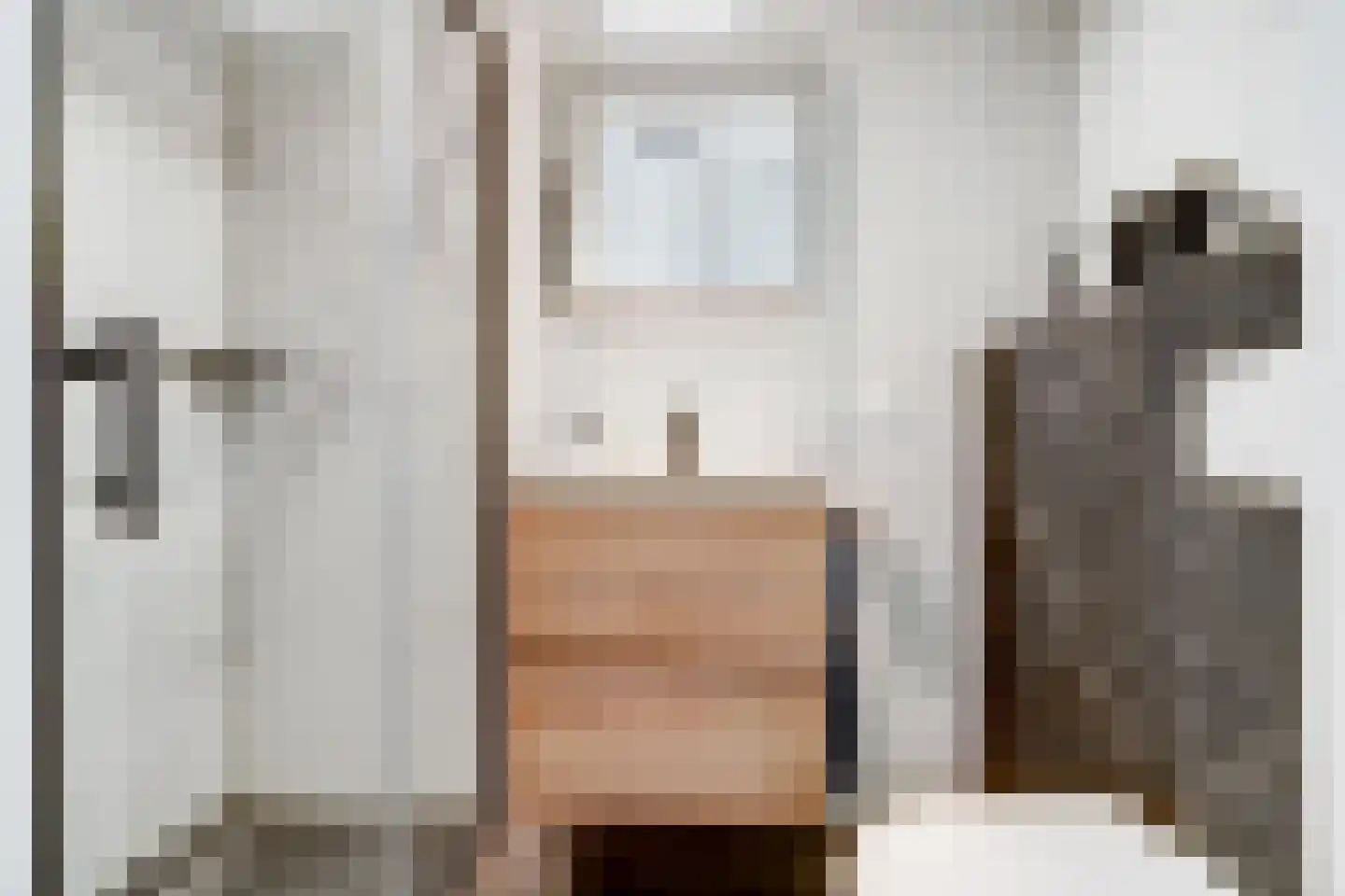 van Assendelftstraat 114 Waalwijk thumbnail 8