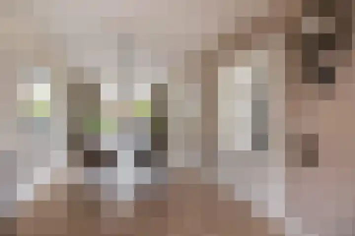 van Assendelftstraat 23 Waalwijk thumbnail 12