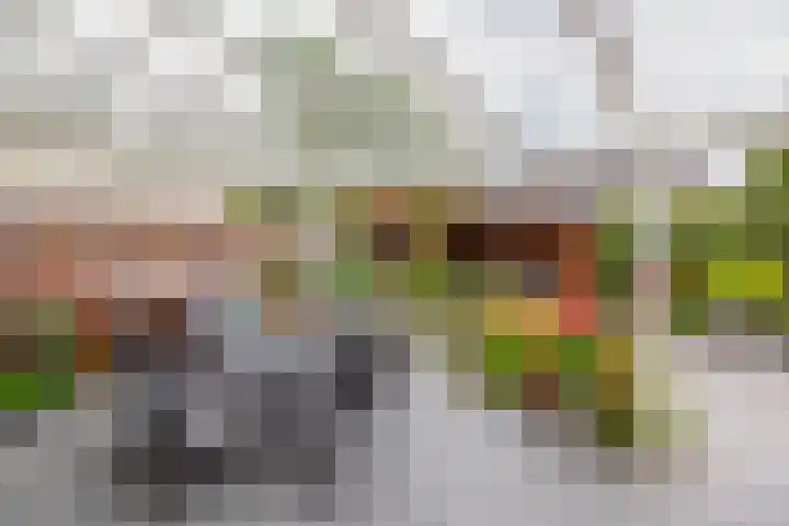 van Assendelftstraat 23 Waalwijk thumbnail 18