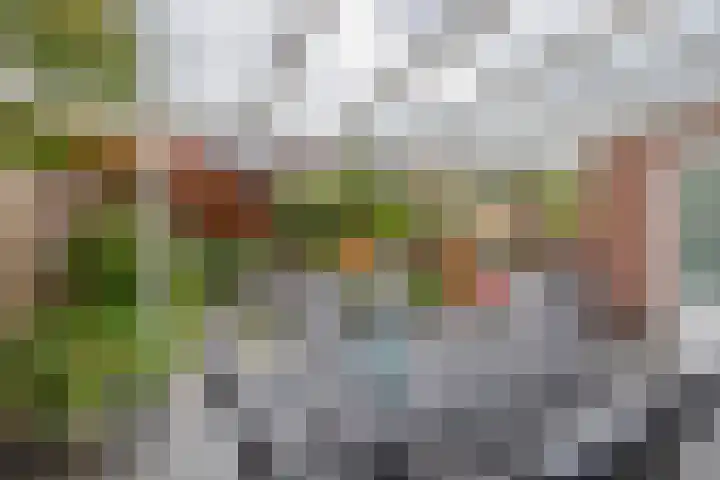 van Assendelftstraat 23 Waalwijk thumbnail 19