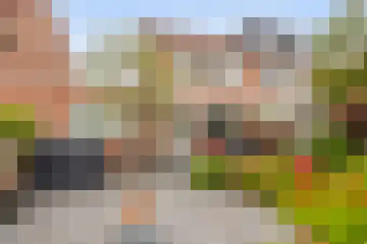 van Assendelftstraat 23 Waalwijk thumbnail 20
