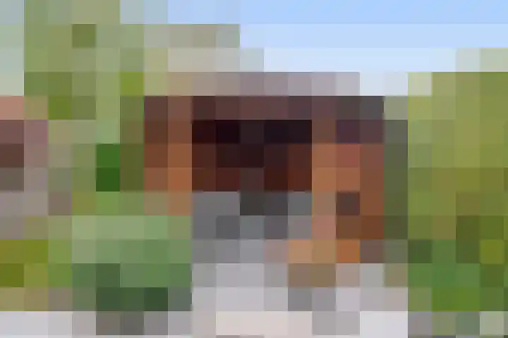 van Assendelftstraat 23 Waalwijk thumbnail 21