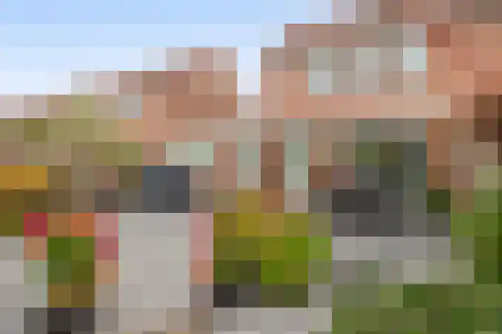 van Assendelftstraat 23 Waalwijk thumbnail 22