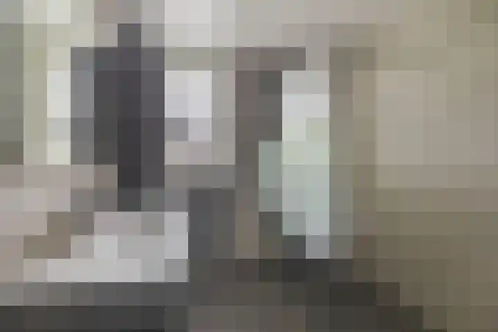 van Assendelftstraat 23 Waalwijk thumbnail 25