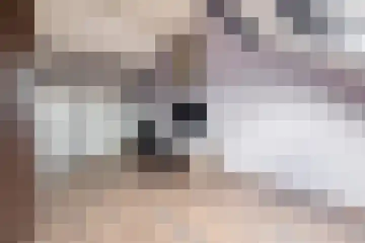 van Assendelftstraat 23 Waalwijk thumbnail 31
