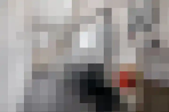 van Assendelftstraat 23 Waalwijk thumbnail 32