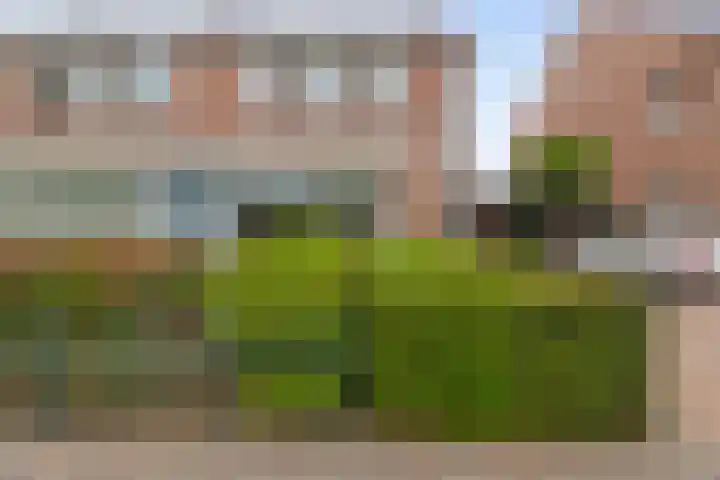 van Assendelftstraat 23 Waalwijk thumbnail 4