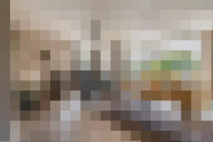van Assendelftstraat 23 Waalwijk thumbnail 7